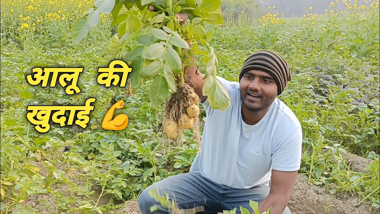 Aaloo Ki Khudai 😍 Day 2 | The Sonu Vlogs 