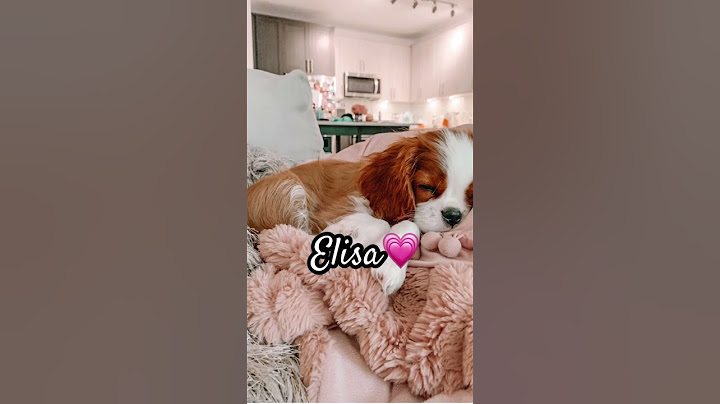 ✨Cani in base al nome se volete faccio pt2 con altri nomi❤️🧡💛💚🩵💙💜🩷✨