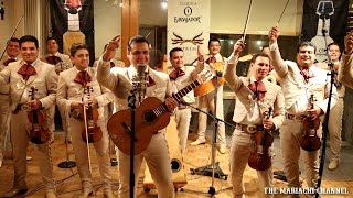 EL SIQUISIRI | MARIACHI NUEVO TECALITLAN  | Video Oficial | Grabado en Vivo chords