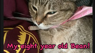 Happy Birthday Bronty