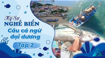 Ký sự: Nghề biển - Tập 2: Câu cá ngừ đại dương | VTV9