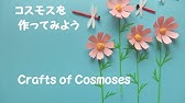 壁面飾り コスモスpart2 の作り方 無料型紙で簡単 花 秋 ９月 10月 画用紙 工作 壁面装飾 ペーパークラフト Paper Craft Youtube