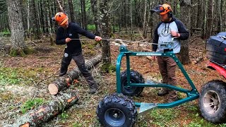 Woodland Mills Loglander 28 | Low Impact Logging | First Use | Cutting Logs for Lumber