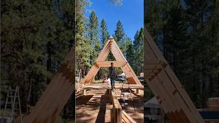 I Built An A-Frame Cabin In The Woods