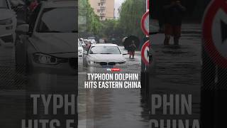 Typhoon Dolphin hits eastern China