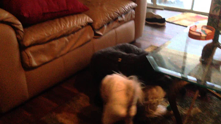 tug of war