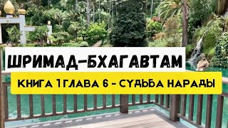 ШРИМАД-БХАГАВТАМ Книга 1 Глава 6 - Судьба Нарады