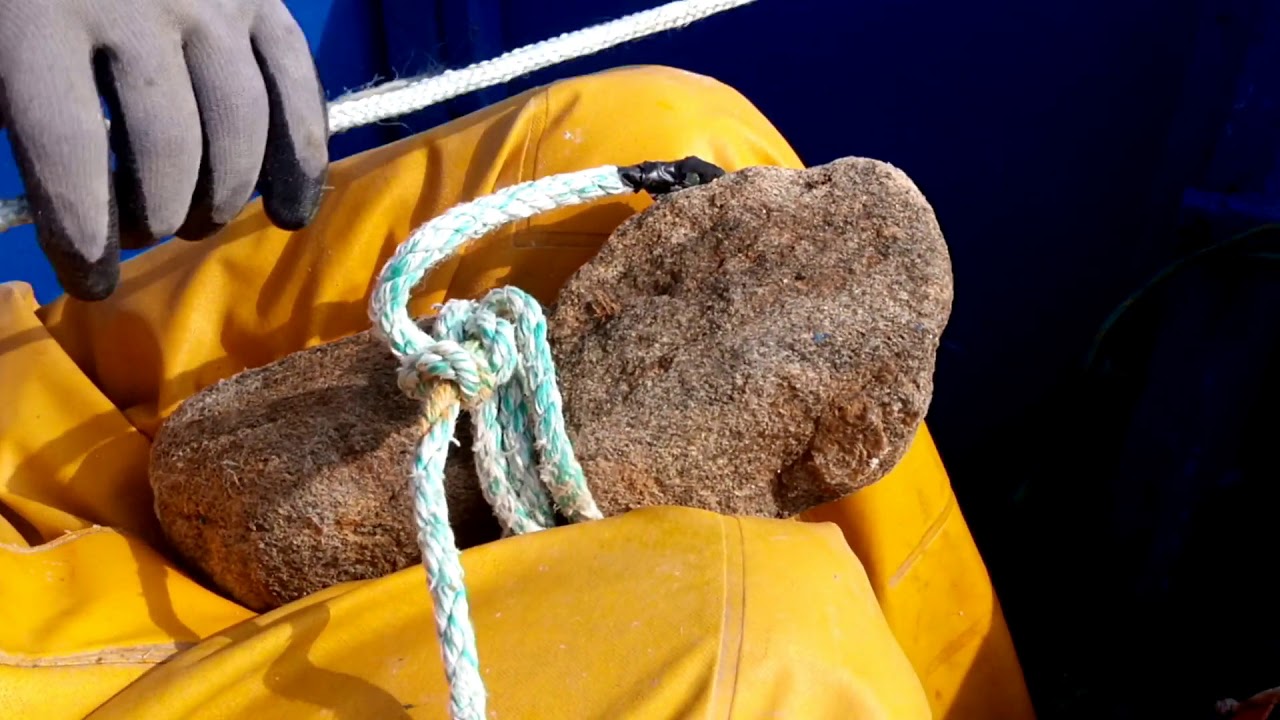 VLOG : Sortie en mer #9 /Et si on mettait un filet droit ?/