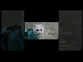 What a year #catshorts #cat #cuteanimals #cute #cutecats #cutepets #jimmysdailydrama
