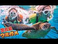 【アイドルがシュノーケリング!】宮古島