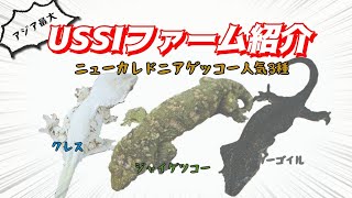 USSIファームを紹介します！