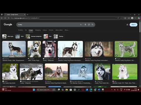 CS50W Project 0 Search | Google search clone
