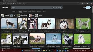 CS50W Project 0 Search | Google search clone
