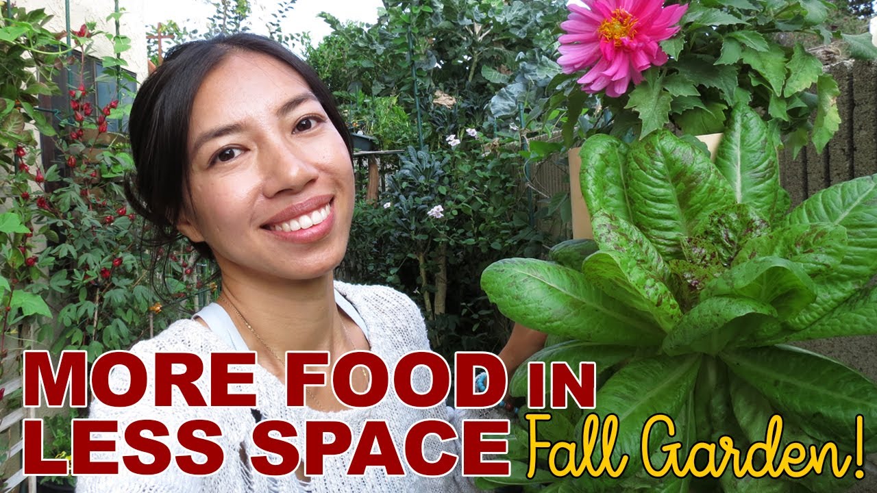 Grow More Food In Less Space -- Fall Garden - YouTube