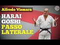 Harai Goshi su passo laterale #lezionetecnica