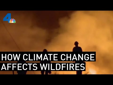 How Climate Change Plays Into California's Wildfire Severity | NBCLA