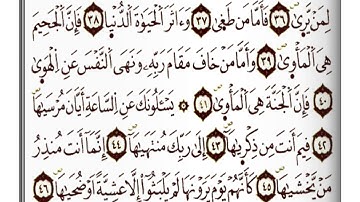 مقطع من  أواخر سورة النازعات  محمد رضا زيان