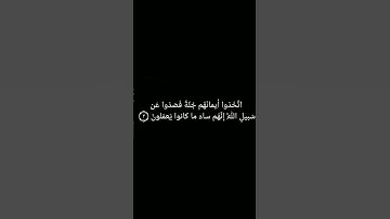 سورة المنافقون: القارئ احمد محمد عامر