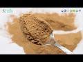 Natural plant extract Bletilla striata extract powder