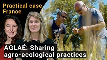 AGLAÉ - Farmers share their agro-ecological practices (i2connect practical case)