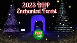 2023 Enchanted Forest