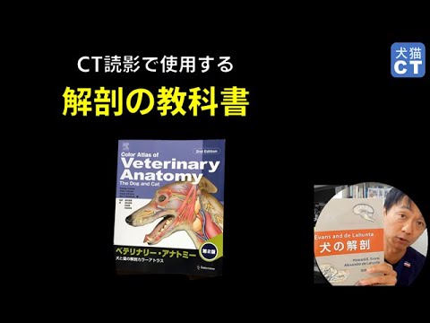 ベテリナリー・アナトミー : 犬と猫の解剖カラーアトラス 獣医 獣医師