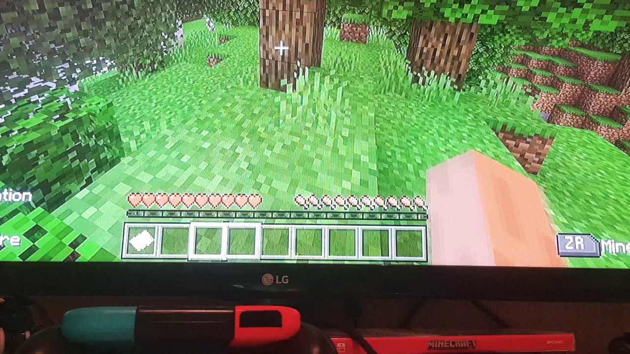 COMMENT BIEN DÉBUTER UNE SURVIE SUR MINECRAFT(DÉSOLÉ POUR LES BRUITS DE
