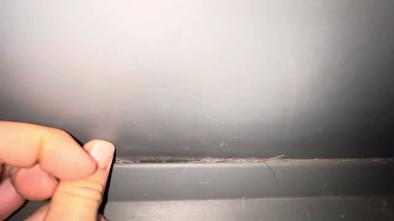 Why you shouldn’t buy an Impact Dog Crate? they are impossible to clean :(