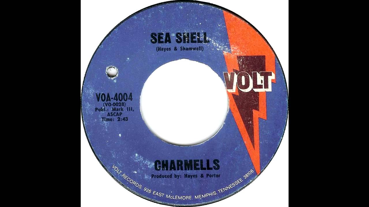 Obejrzyj Charmels - Sea Shell w YouTube Obejrzyj Charmels - Sea Shell w YouTube