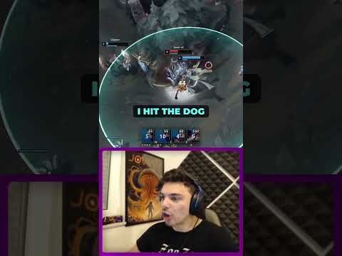 The Average Naafiri Experience 