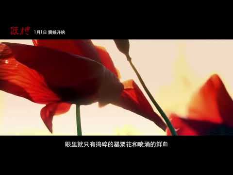 名侦探学院丨低烧南北篇 Youtube 名侦探学院丨低烧南北篇 Youtube