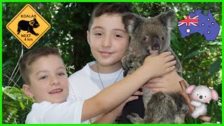 Koalas for Kids  🐨 Australian Wildlife | Educational Animal Videos  🇦🇺 by Oliver and Lucas - Educational Videos for Kids 20,828 views 1 year ago 6 minutes, 58 seconds