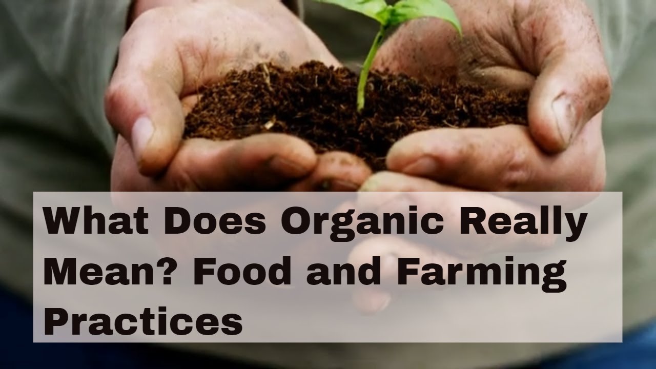 What Does Organic Really Mean?  Food and Farming Practices