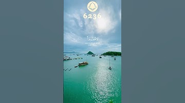 سورة ابراهيم ﴿ واتاكم من كل ما سالتموه ﴾   Surah Ibrahim