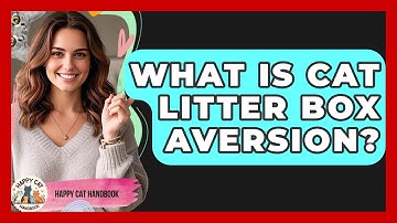 What Is Cat Litter Box Aversion? - Happy Cat Handbook