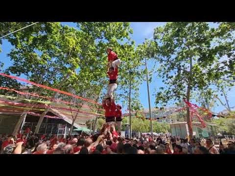 Castellers de Barcelona: Pilar de 5 - Festa Major de Navas 2024