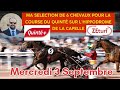 Ma sélection de 6 chevaux pour la course du Quinté du Mercredi 3 Septembre hippodrome de La Capelle