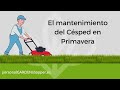 El mantenimiento del csped en primavera