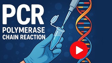 PCR Animation I CSIR NET Life Science I GATE Life Science I DBT JRF