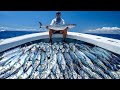 1000lbs of fishbig payday commercial kingfish catch clean cook