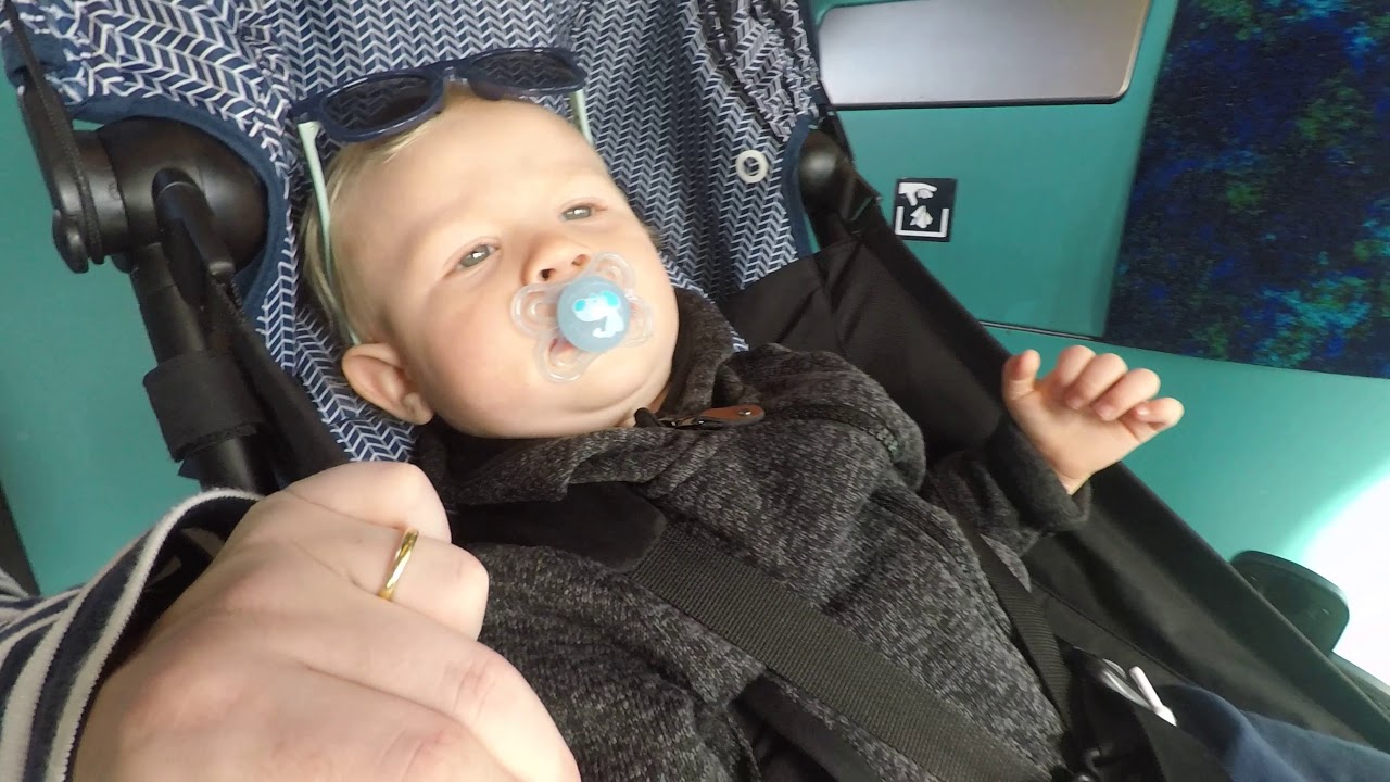 S-Tog fra Nordhavn til Vesterport. Lucas ser på tog