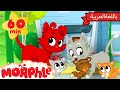 Morphle Arabic |🐱 قصص مورفل و ميلا |🐱 حلقة مورفل والقِططُ الصَّغيرةُ - Morphle and the Kittens