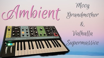 Moog Grandmother arpeggiator - ambient with Valhalla Supermassive