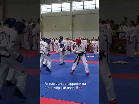 Пояс тхэквондо PROFSPORT черный