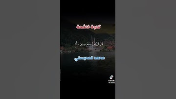 تلاوة خاشعة للشيخ محمد المحيسني 🎧🌸 #القرآن_الكريم #اكسبلور #صلوا_على_النبي #المصحف