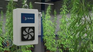 Surna Automation