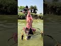 Create a unique trap for hunting super big fish on the big lake