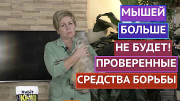 БОРЕМСЯ С МЫШАМИ/КРЫСАМИ/КАРБЫШАМИ! ЭФФЕКТИВНО И БЕЗОПАСНО!