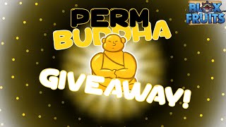 🔴 Blox Fruits LIVE | 🟡🙏 PERM BUDDHA GIVEAWAY + PERM SPIN 🚁🌪️ | «Playing with Subs» 🤑