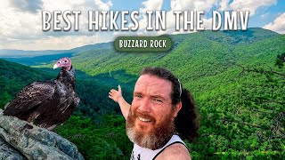 INCREDIBLE Views At Buzzard Rock | Best Hikes A Short Drive From DC | ADV 207